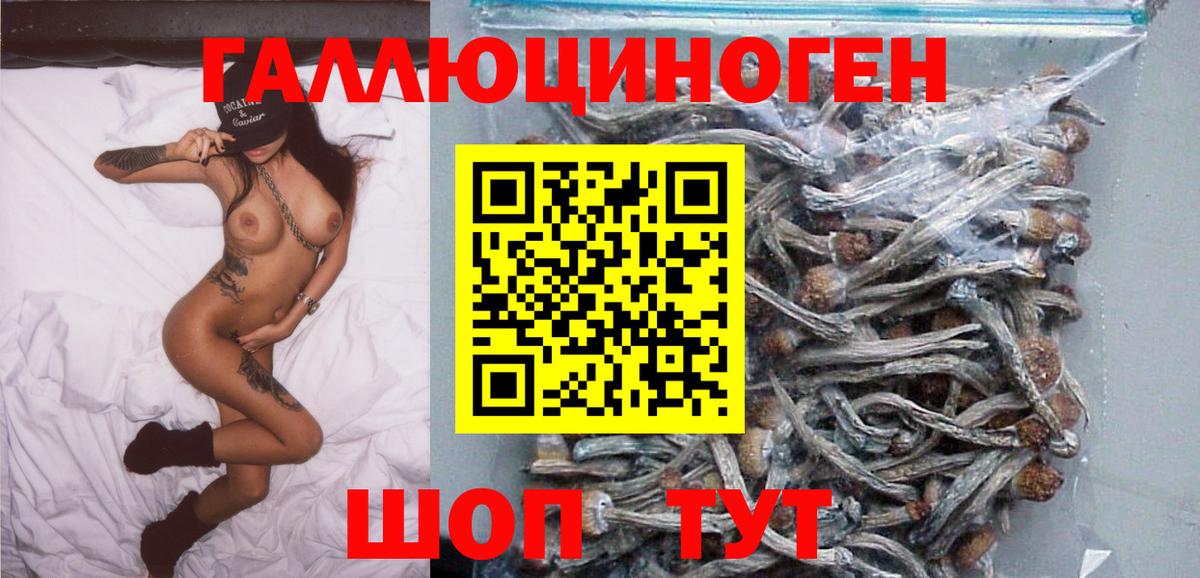 Псилоцибиновые грибы мицелий Прохладный