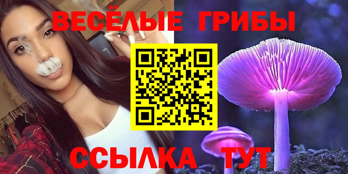 Псилоцибиновые грибы GOLDEN TEACHER  Псилоцибиновые грибы Cubensis  Вход с VPN  Прохладный 